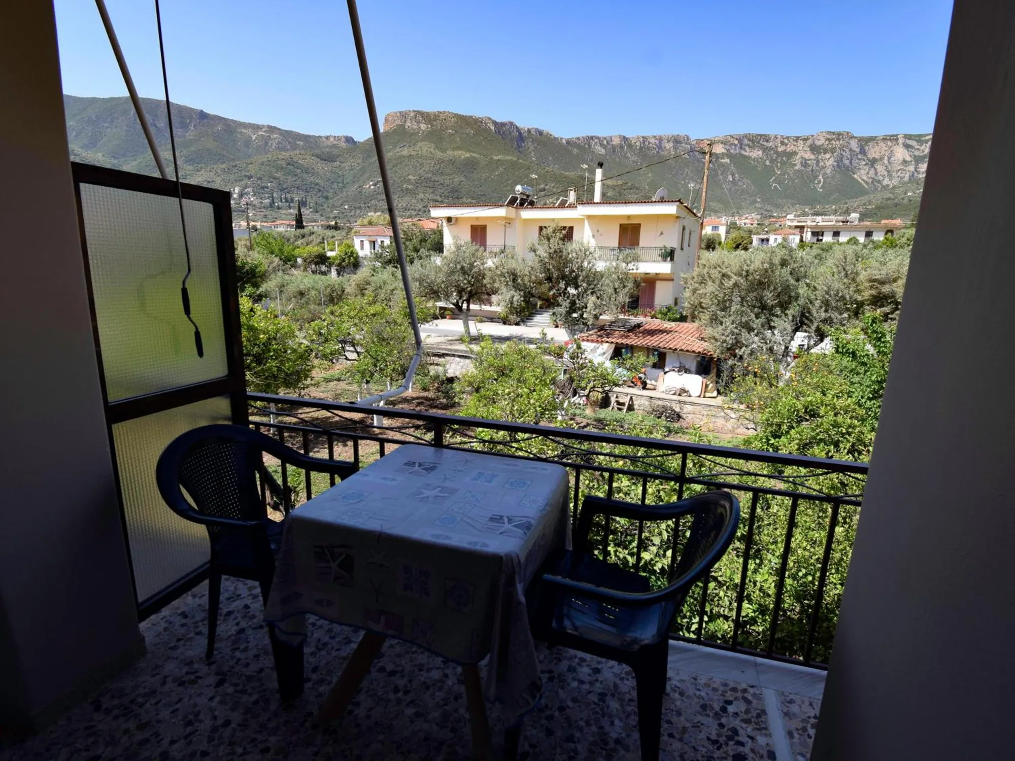 Οι ελιές και το βουνό πάνω από τον Τυρό
